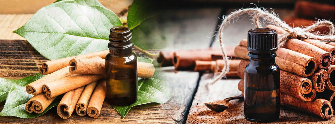 Ceylon Cinnamon Leaf Oil