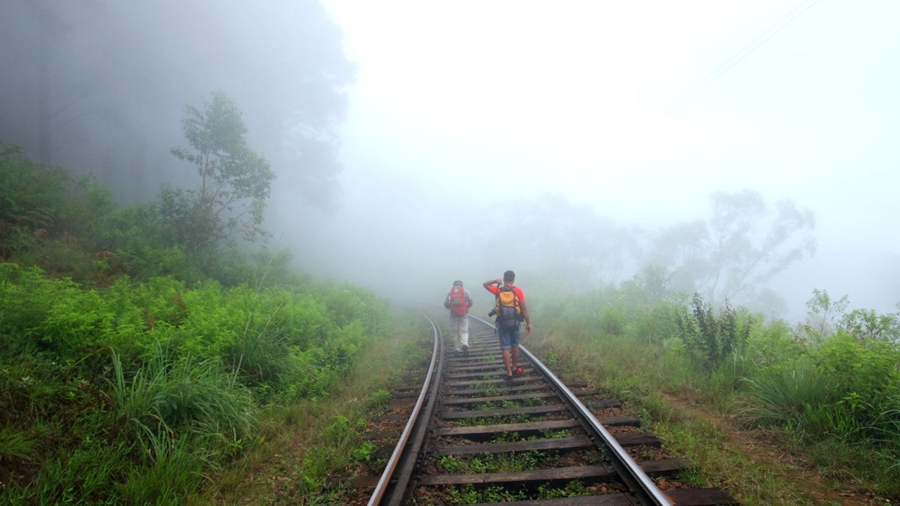 Activities from Ohiya