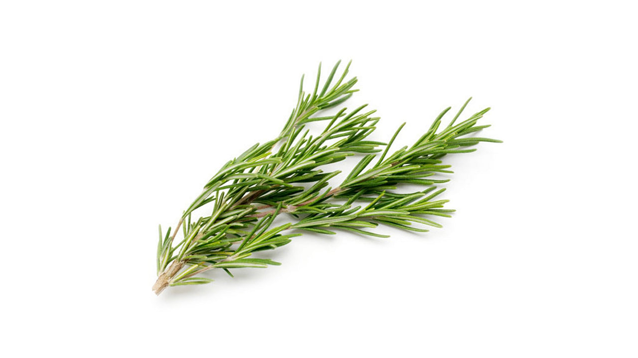 Rosemary