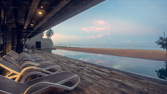 Pledge Scape, Negombo