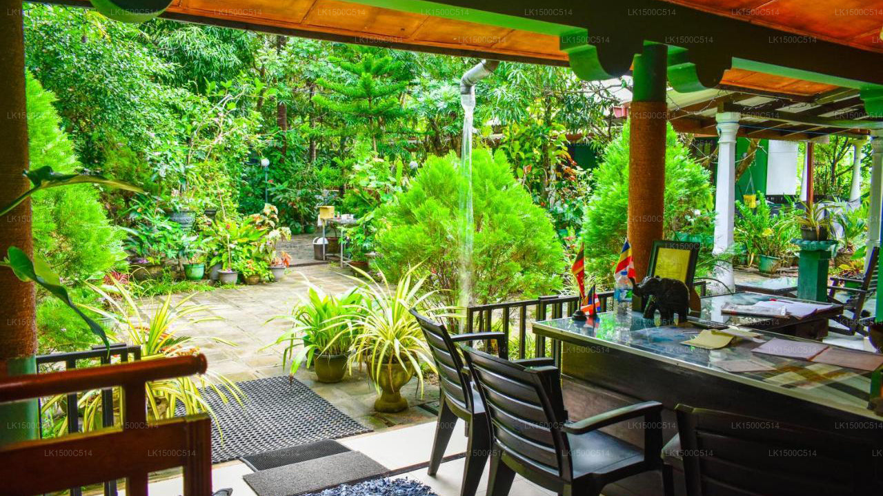 Sigiri Rock Side Home Stay, Sigiriya