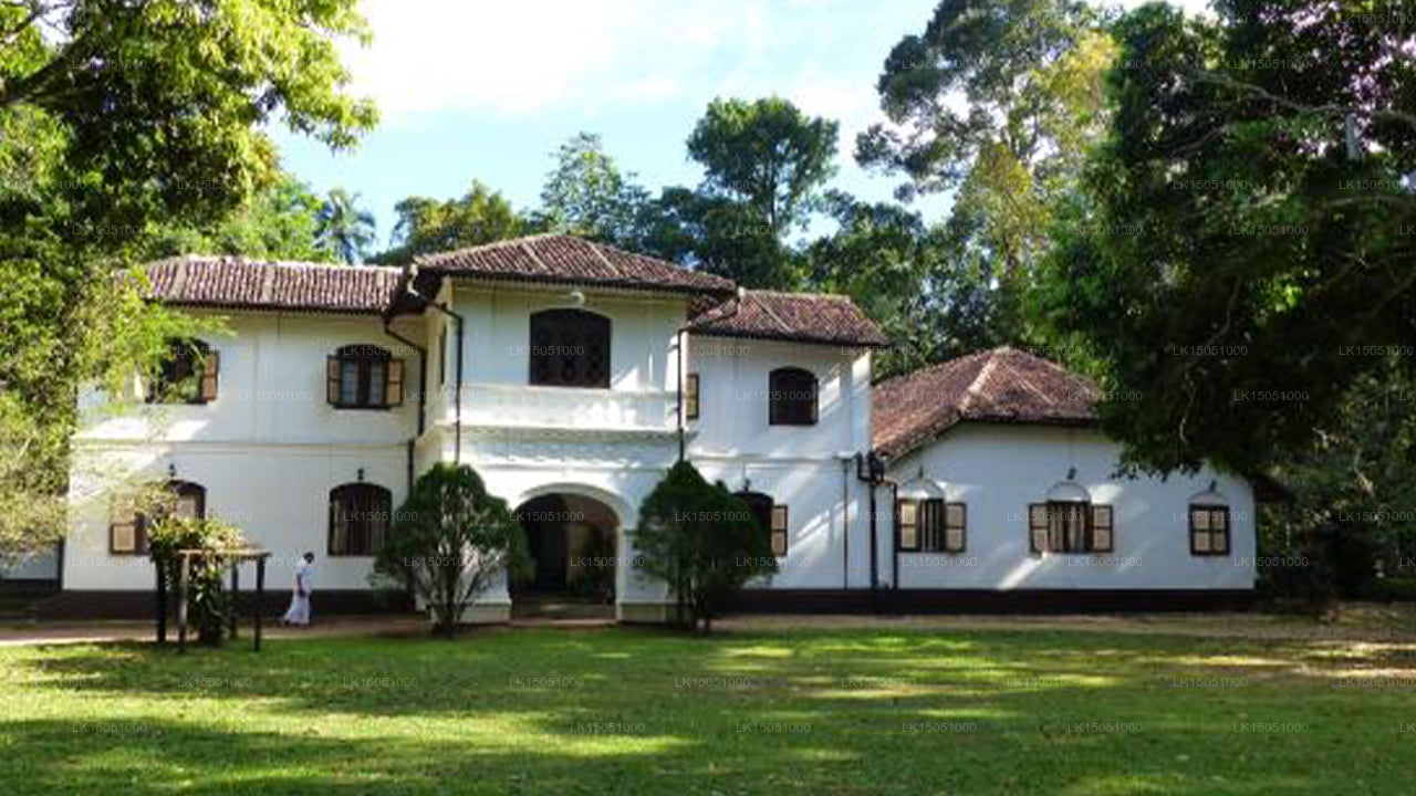 Elpitiya Walauwa, Gampola