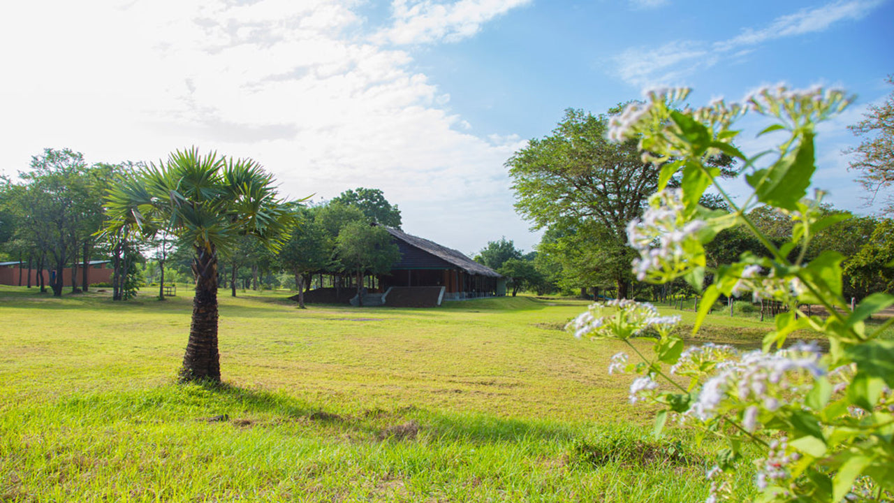 Governors River Lodge, Wilpattu