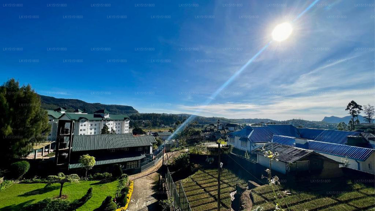 Tea Bush Hotel, Nuwara Eliya