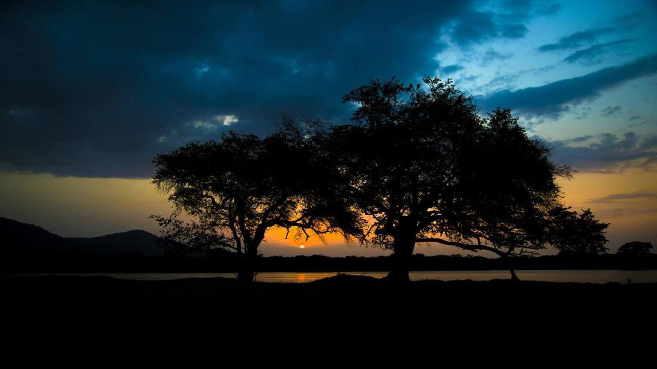 Wadula Safari - Yala, Katarágamo