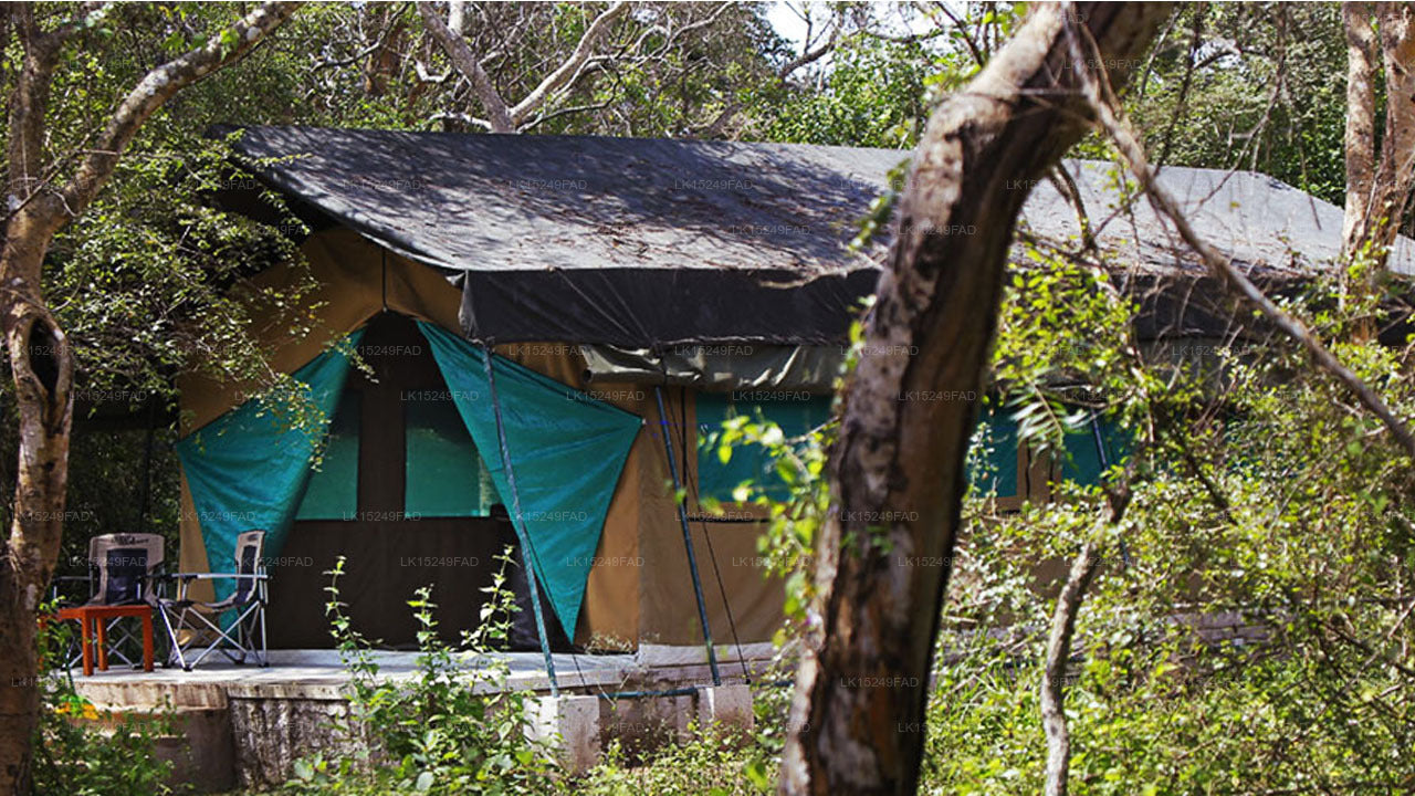 Tábor Wilpattu Safari, Wilpattu