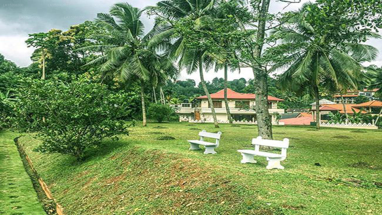 Green Grass Hostel, Kandy