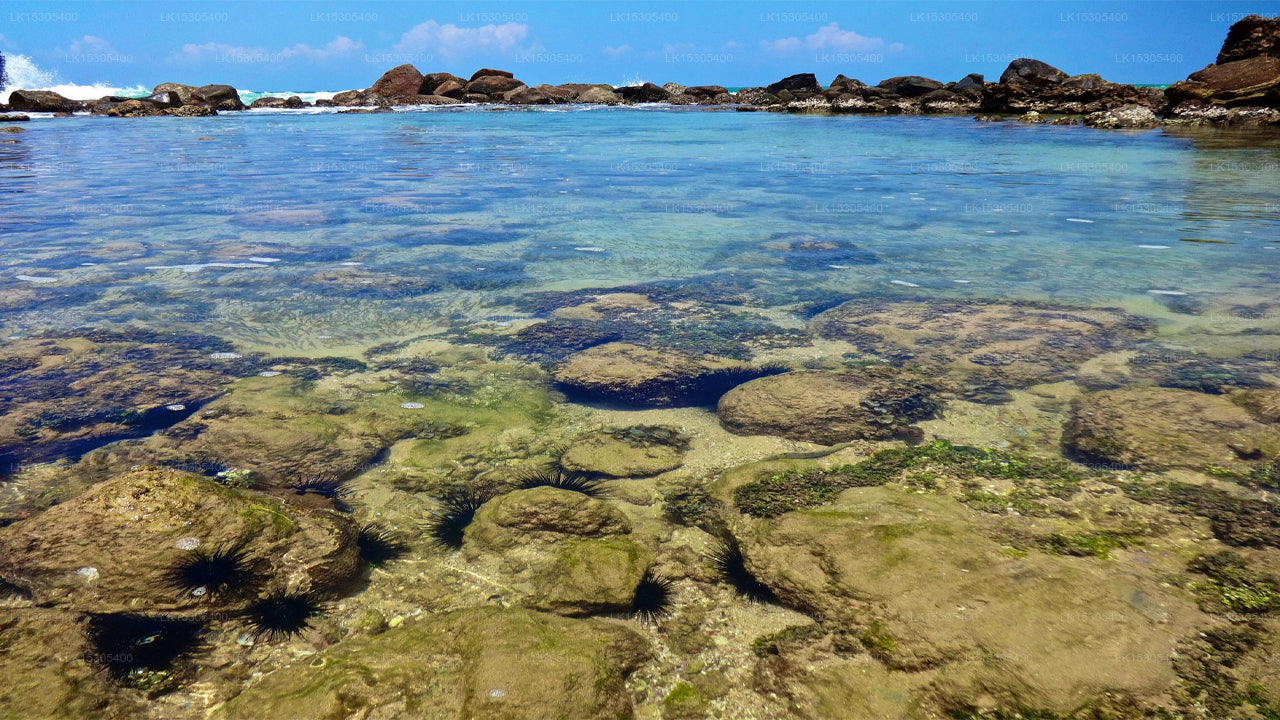 Giragala Village, Mirissa