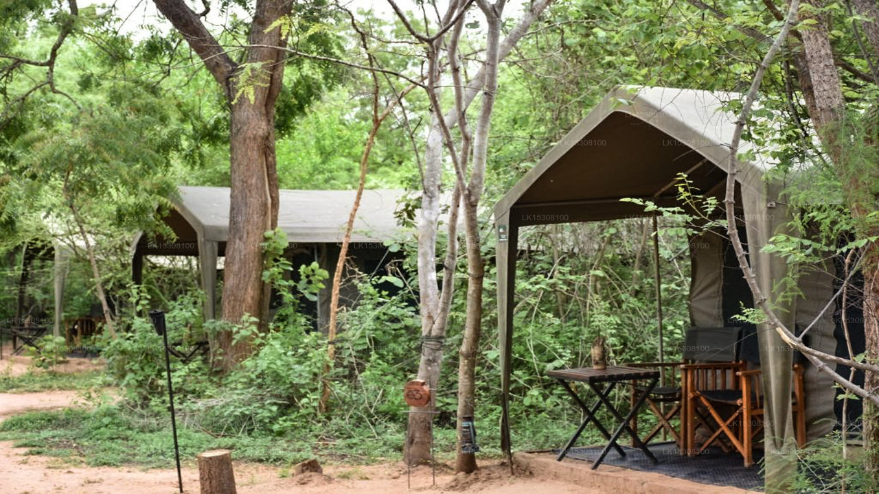 Eco Team Safari Camps Yala