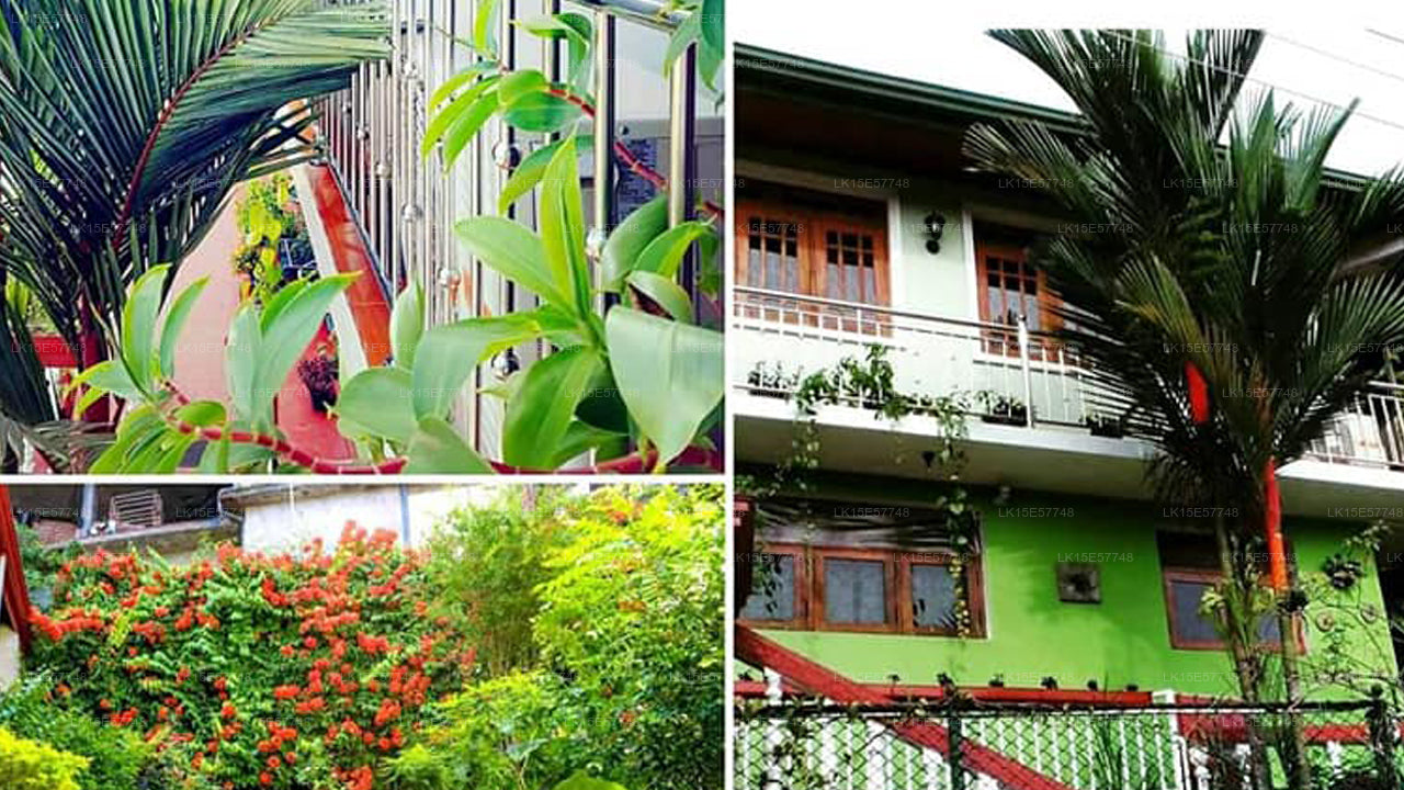 Rockwell Garden Homestay