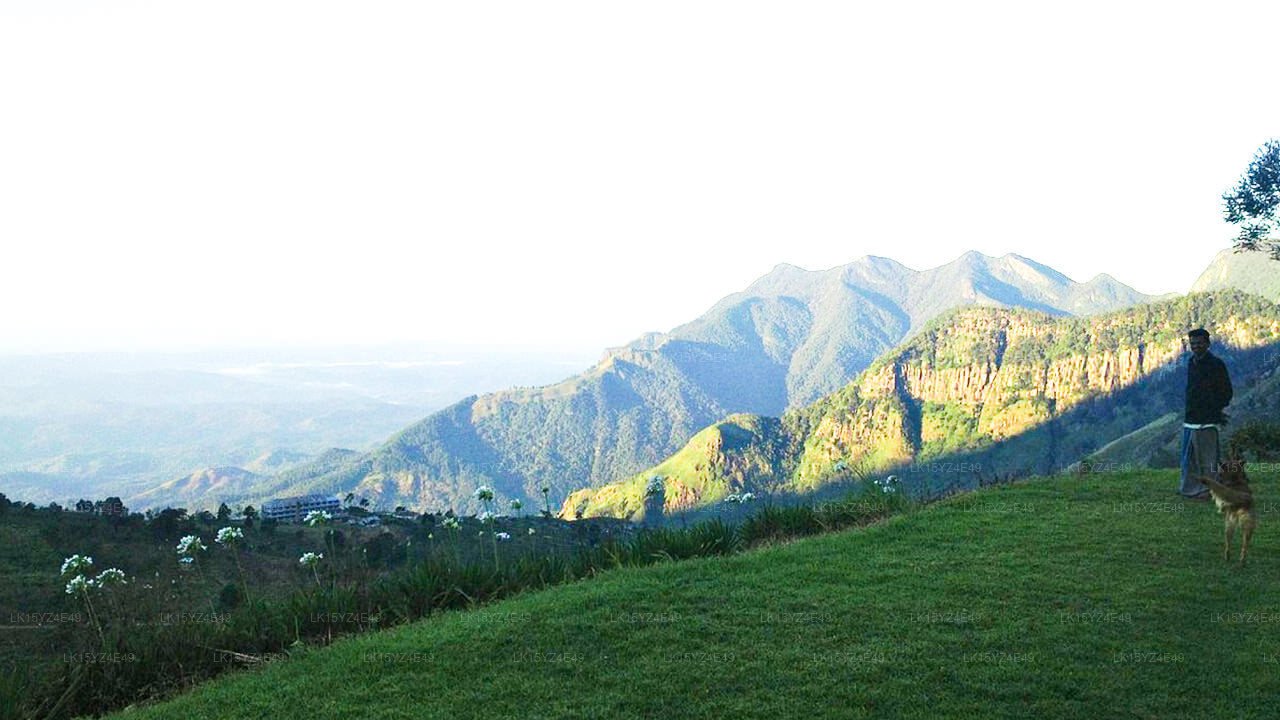 Ekologická chata Hill Safari, Ohiya