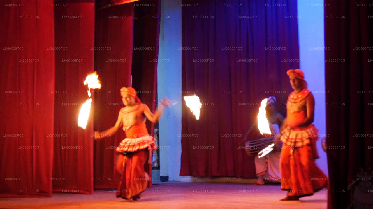 Fire Dancing Experience from Negombo