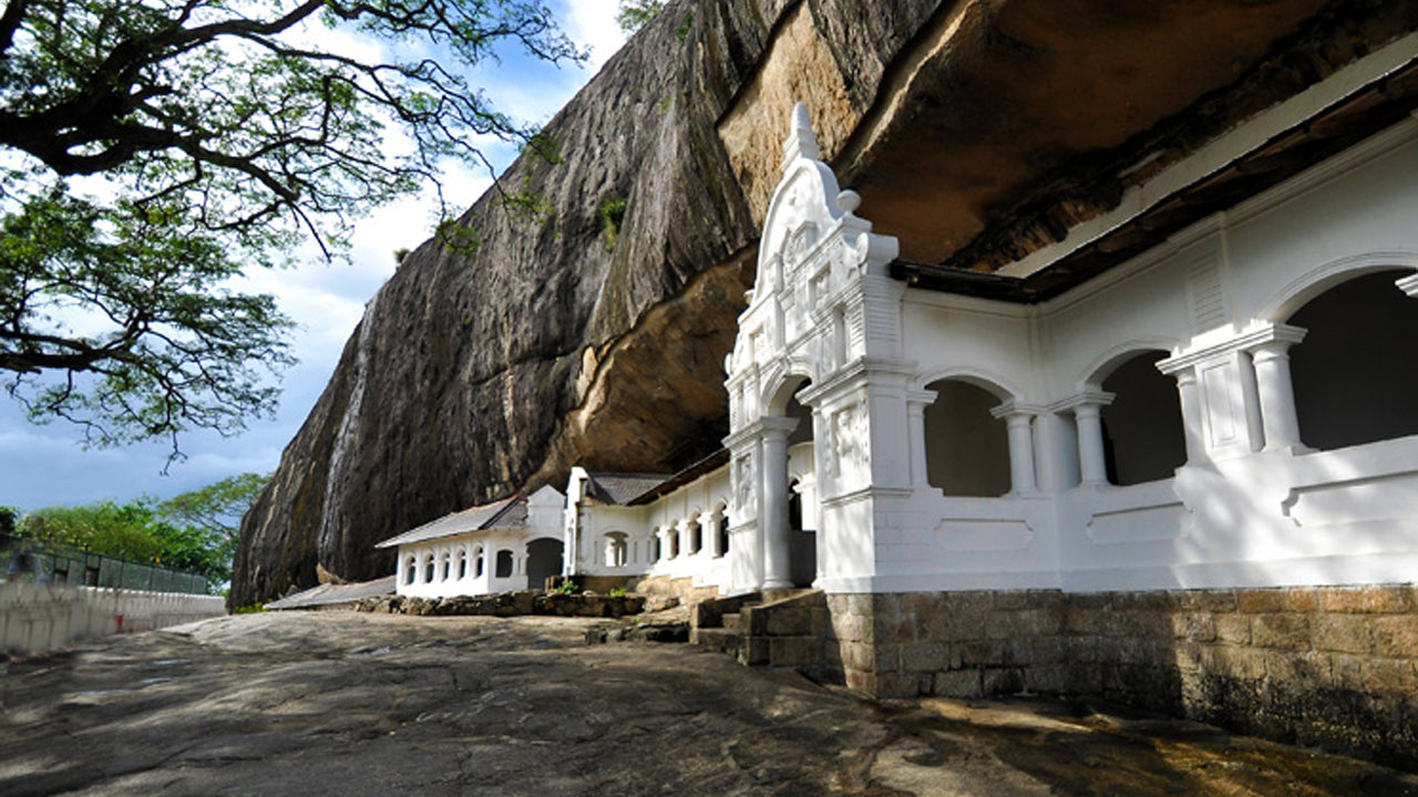 Sigiriya Rock, Dambulla and Wild Elephant Safari from Colombo