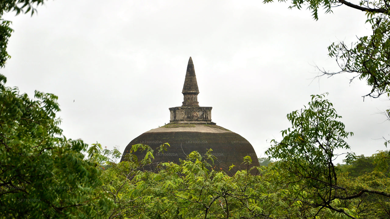 Vstupenka na archeologické naleziště Polonnaruwa