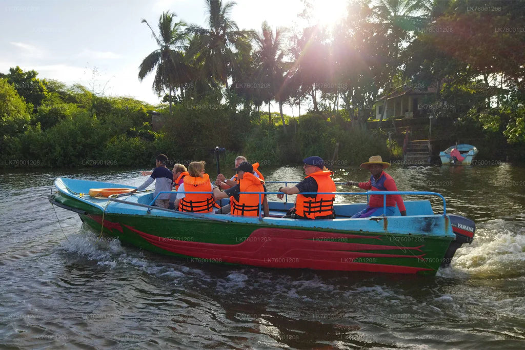 Walawe River Jungle Boat Safari