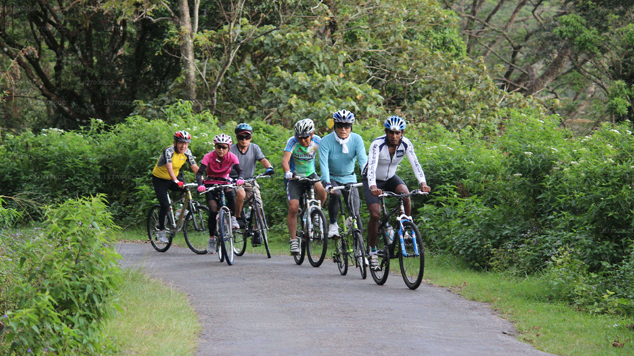 Adventure Mountain Biking from Kandy