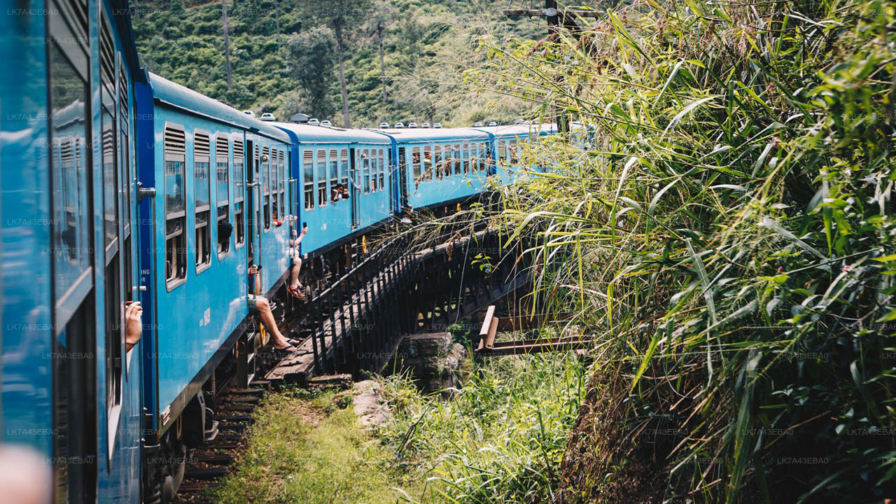 Rezervace jízdenek na vlak z Kandy do Elly, Nanu Oya a Badulla