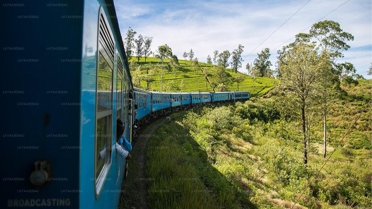 Rezervace jízdenek na vlak z Kandy do Elly, Nanu Oya a Badulla