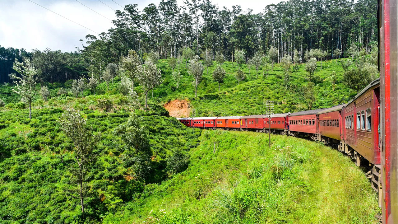 Rezervace jízdenek na vlak z Kandy do Elly, Nanu Oya a Badulla