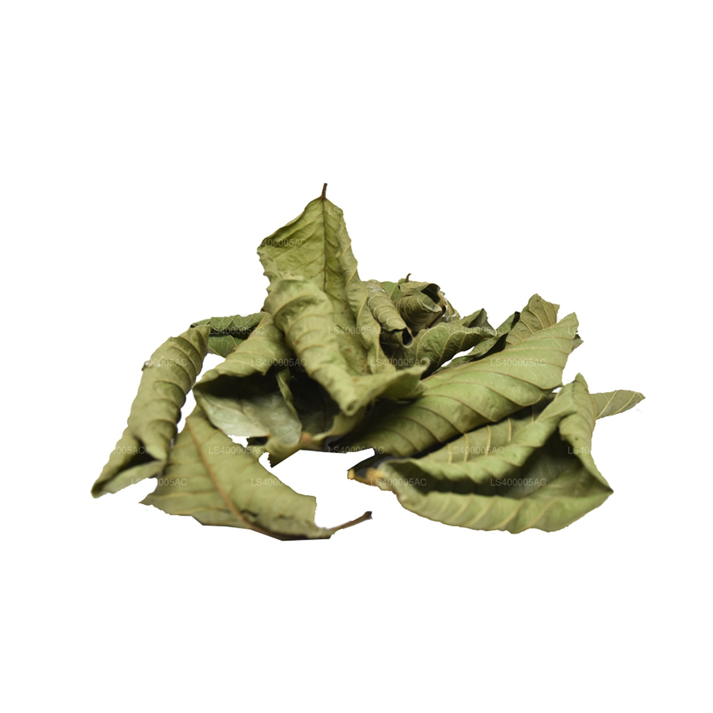 Dehydratované listy guavy Lakpura