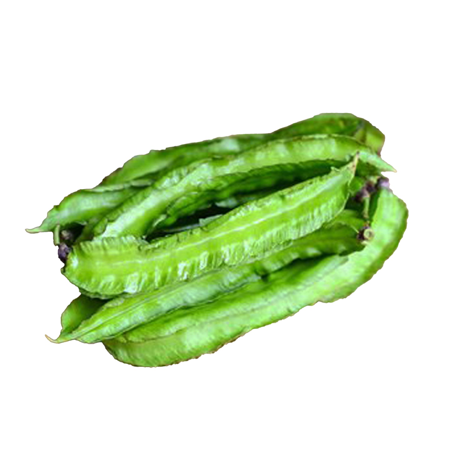 Okřídlené fazole Lakpura