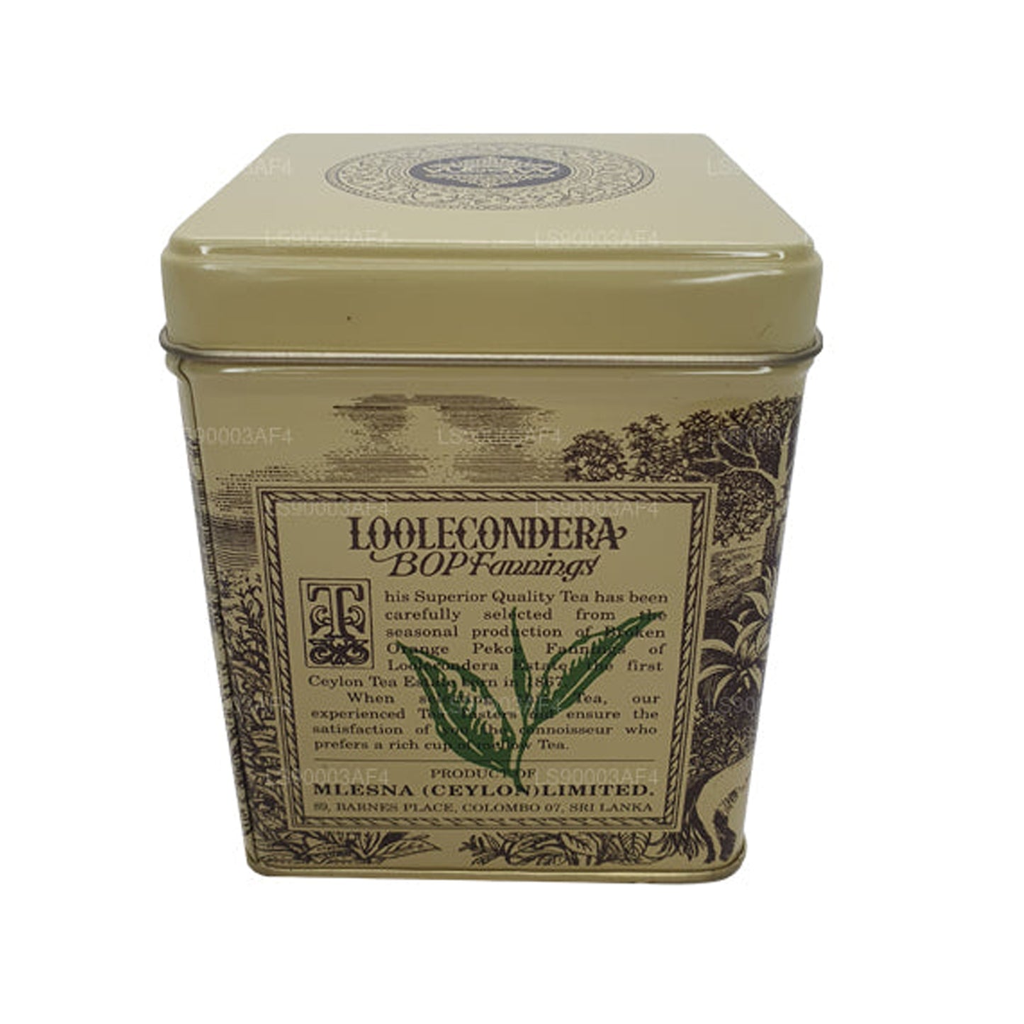 Mlesna Loolecondera BOP Fannings Tea Caddy