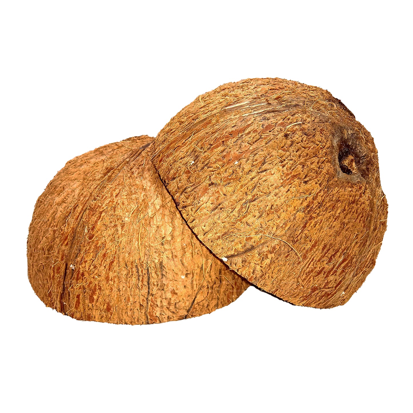 Lakpura Coconut Shell Halves
