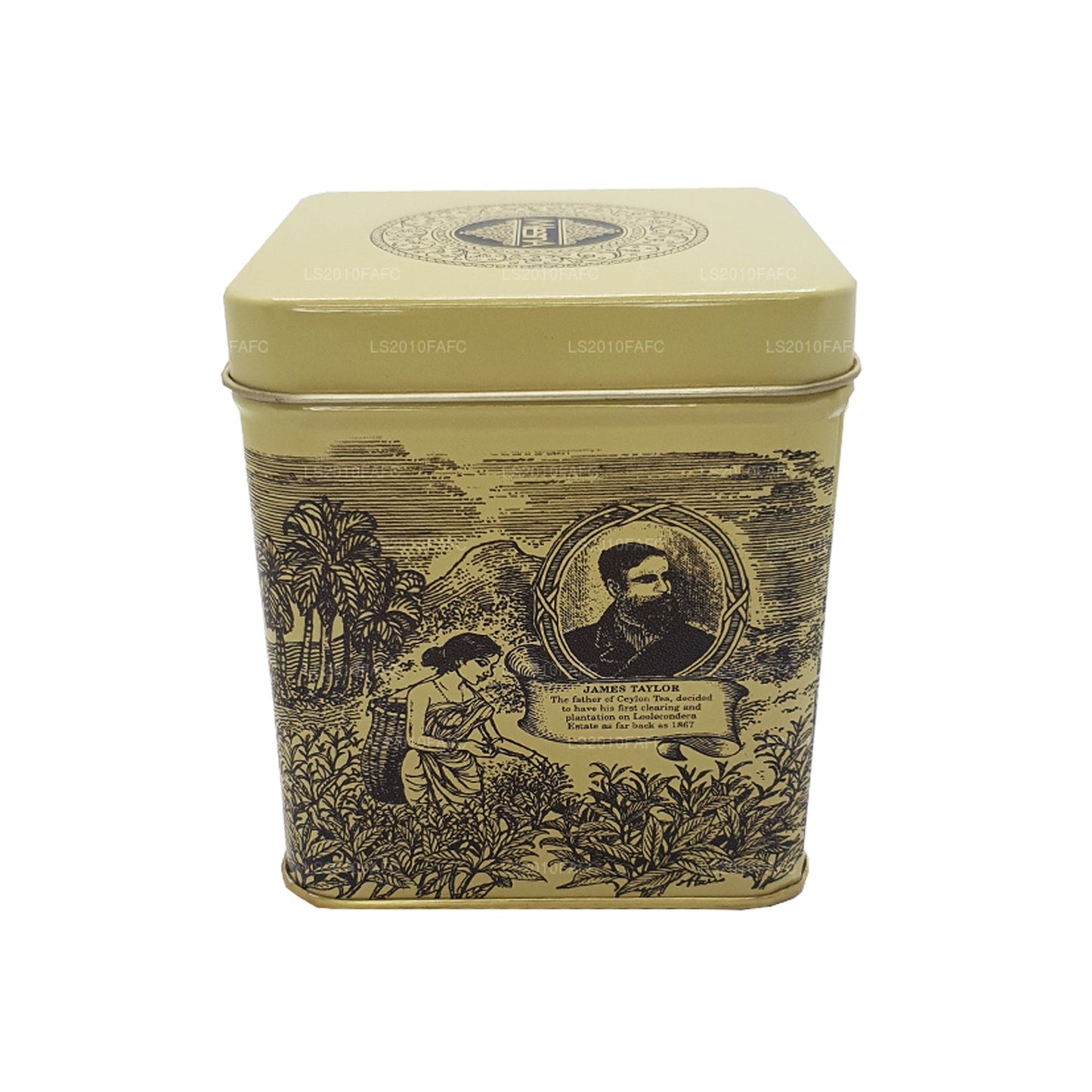 Mlesna Loolecondera BOP Fannings Tea Caddy