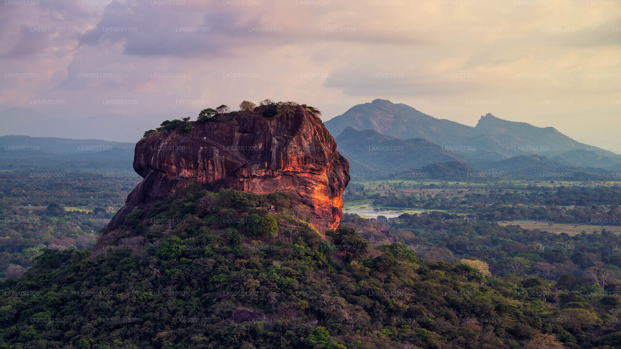 Sigiriya Rock and Village Tour from Habarana