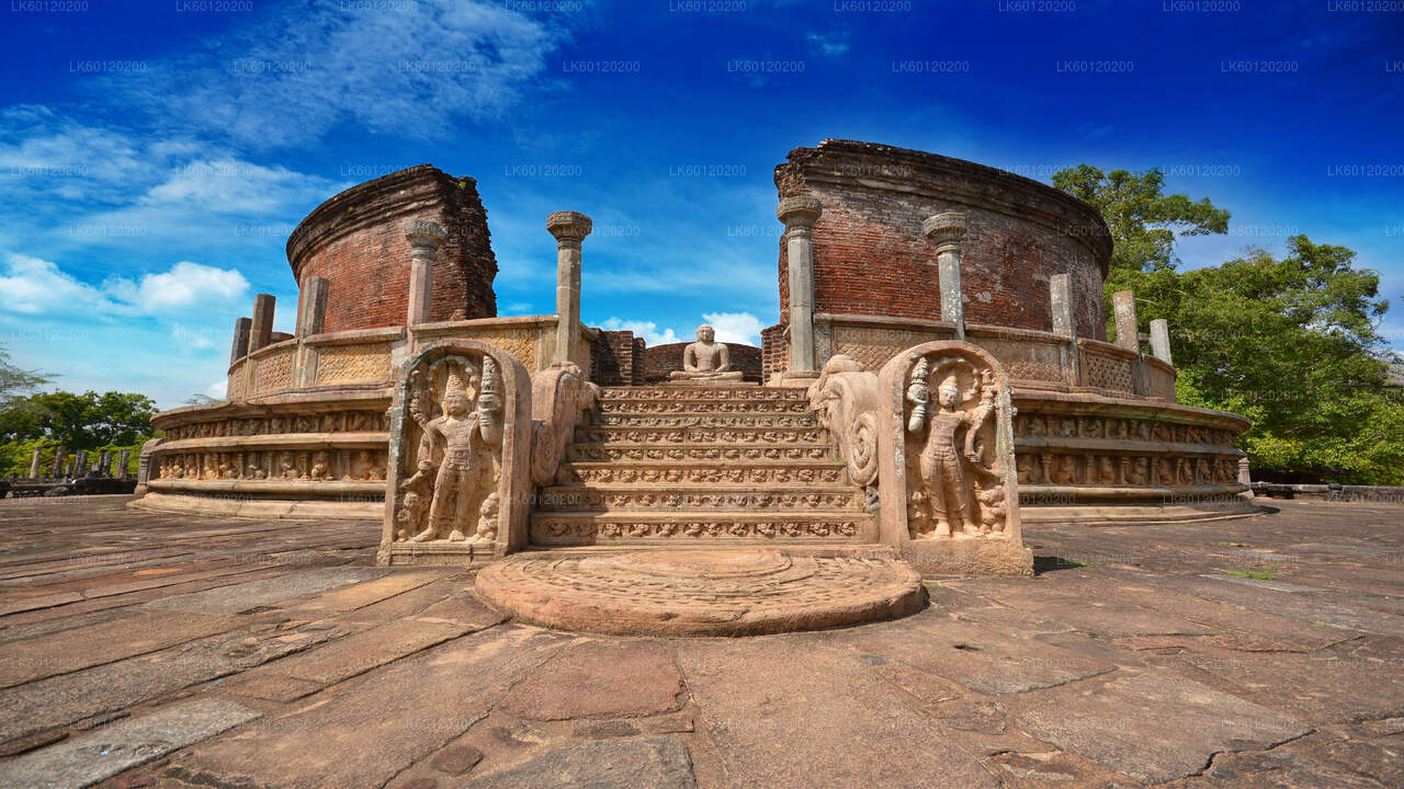 Ancient Kingdom and Wild Elephant Safari from Polonnaruwa