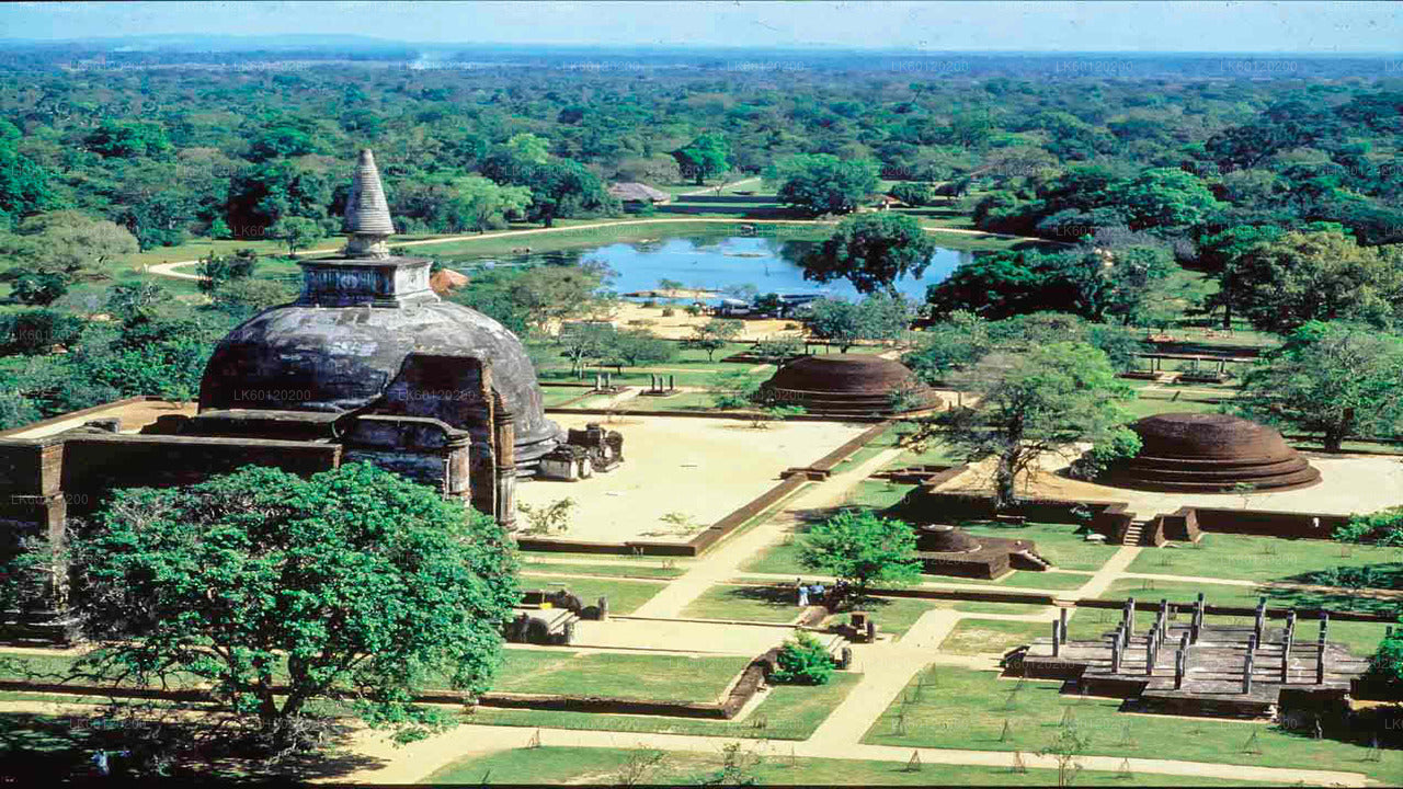 Ancient Kingdom and Wild Elephant Safari from Polonnaruwa