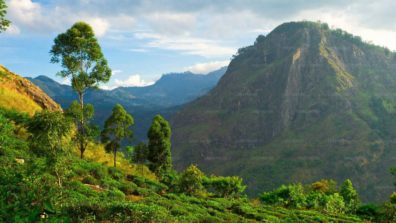 Haputale Highlands from Nuwara Eliya