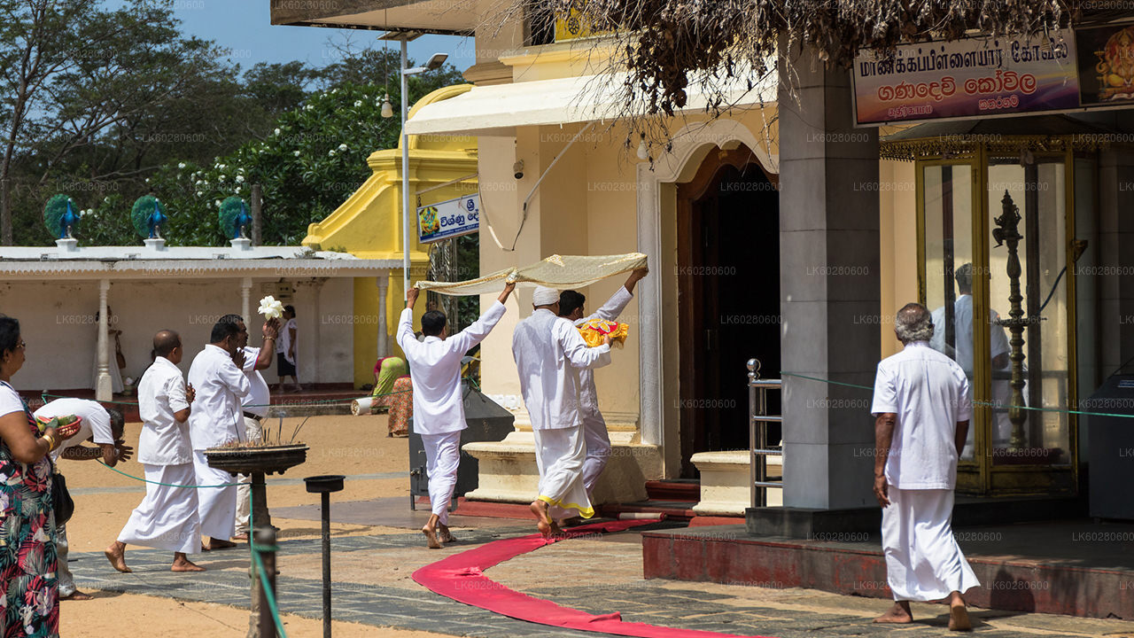 Ancient Temple Run Tour from Hambantota