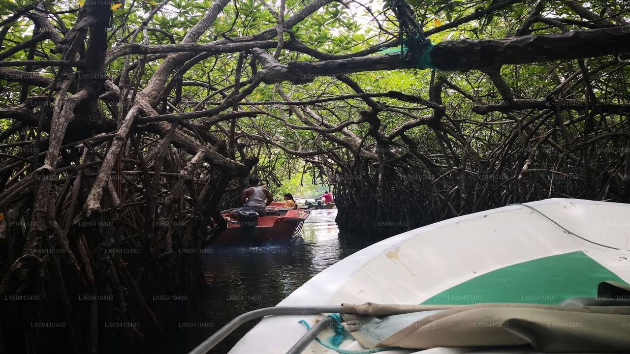 Bentota City Tour from Unawatuna