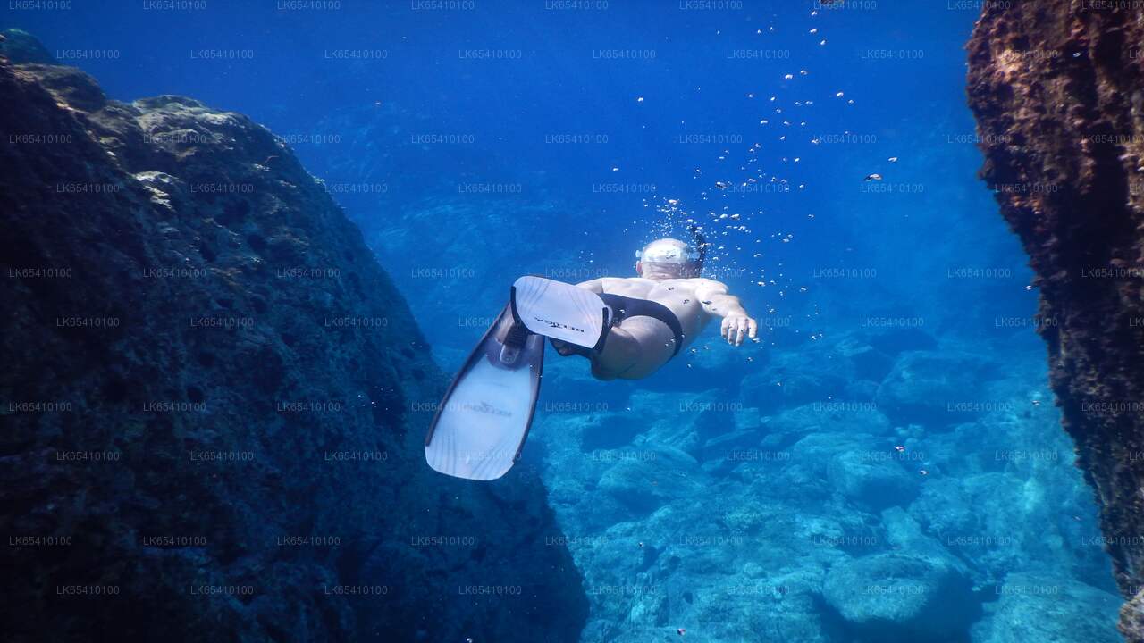 Scuba Diving from Unawatuna