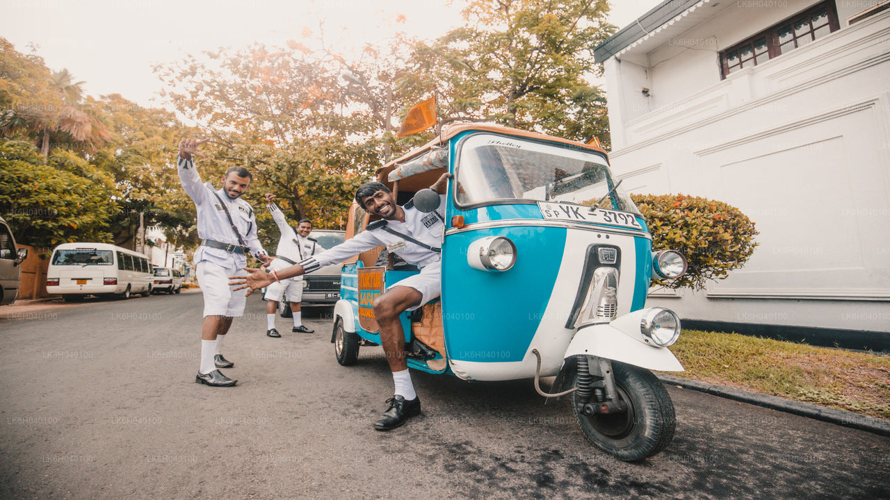 South Coast Tuk Tuk Safari from Galle