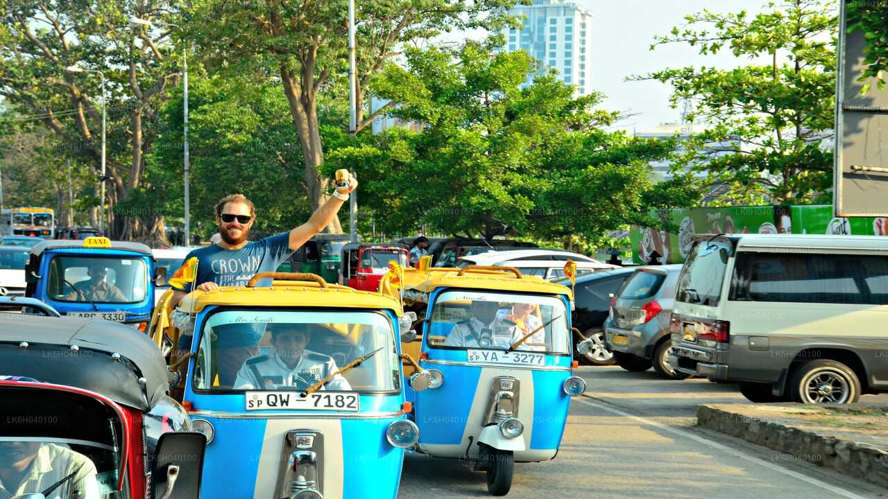 South Coast Tuk Tuk Safari from Galle