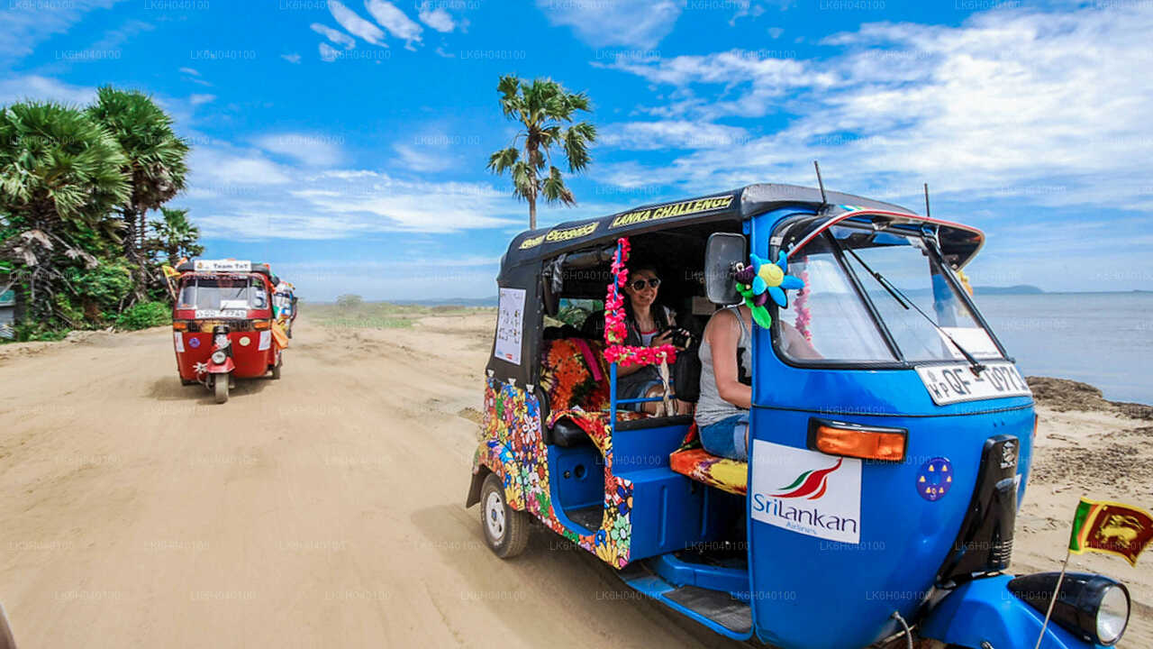 South Coast Tuk Tuk Safari from Galle