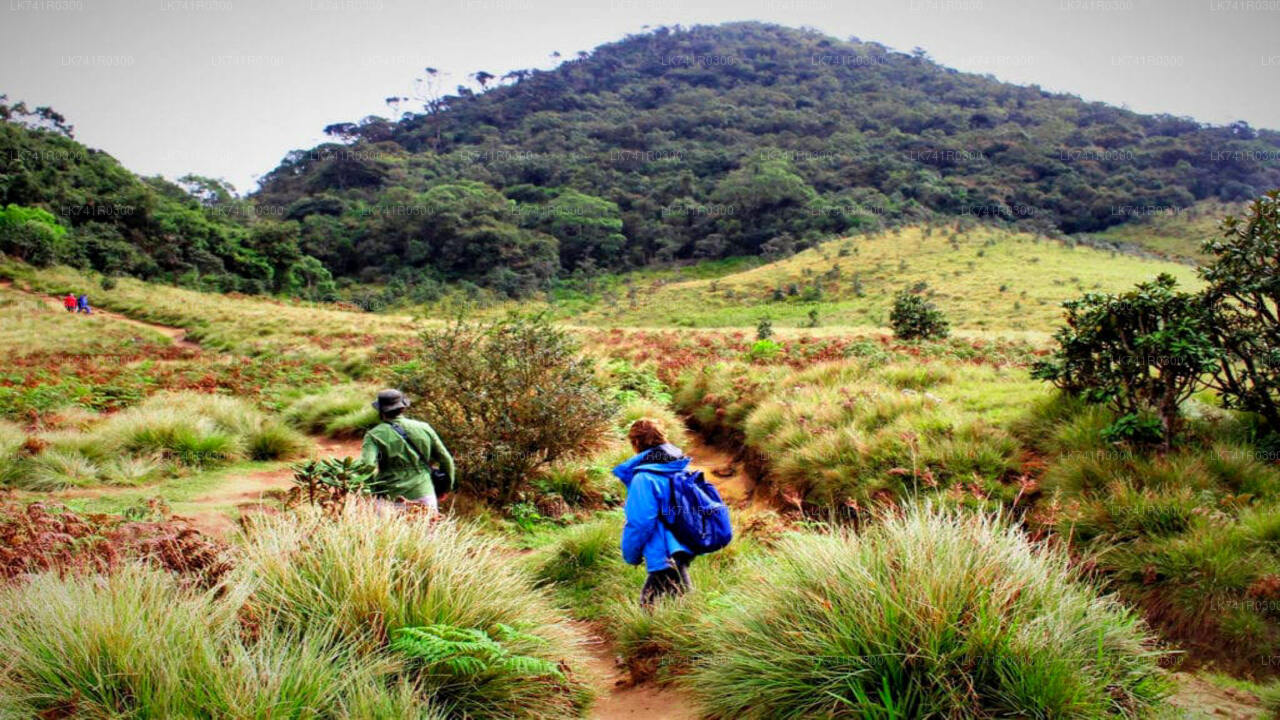 Hike to Kirigalpoththa Mountain Range via Horton Plains