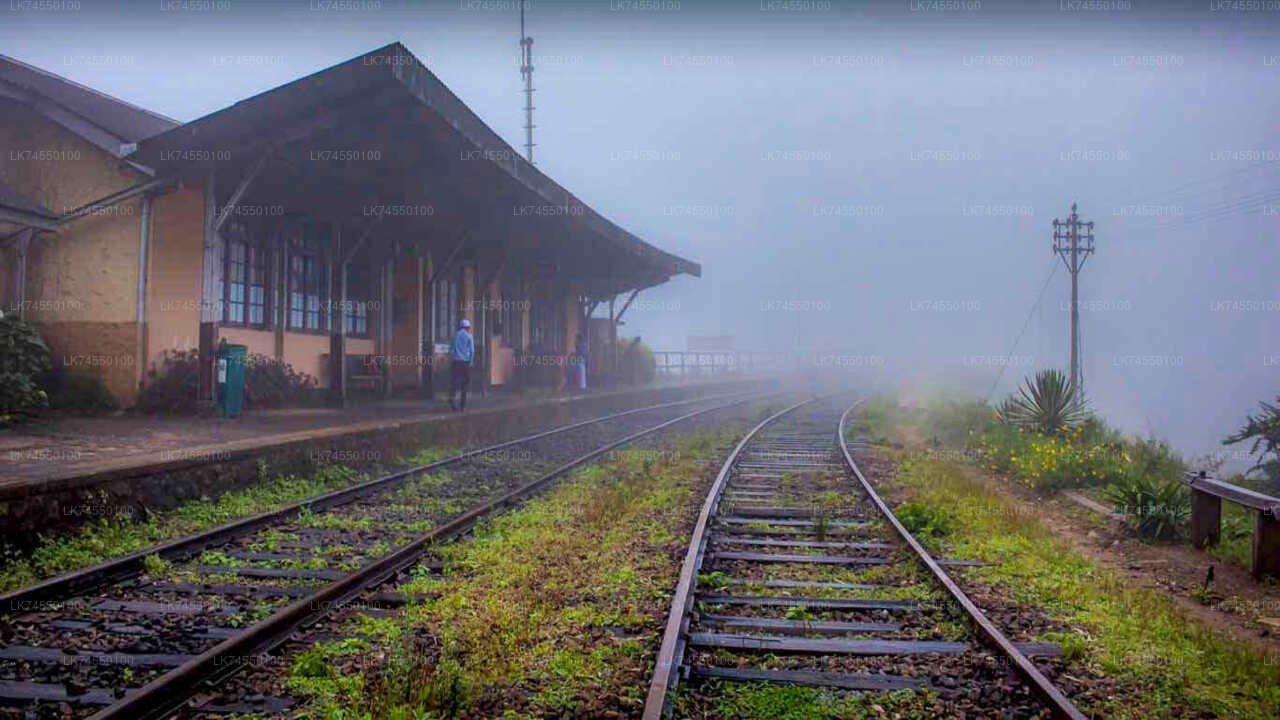 Hiking in Horton Plains Borders via Rail Tracks from Pattipota