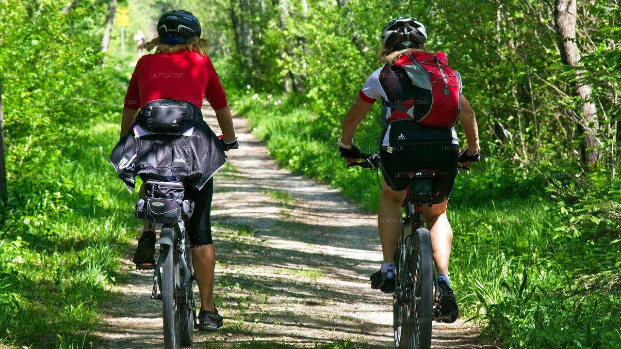 Mountain Biking from Galle