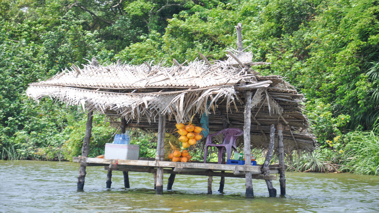 Bentota City Tour from Colombo Seaport