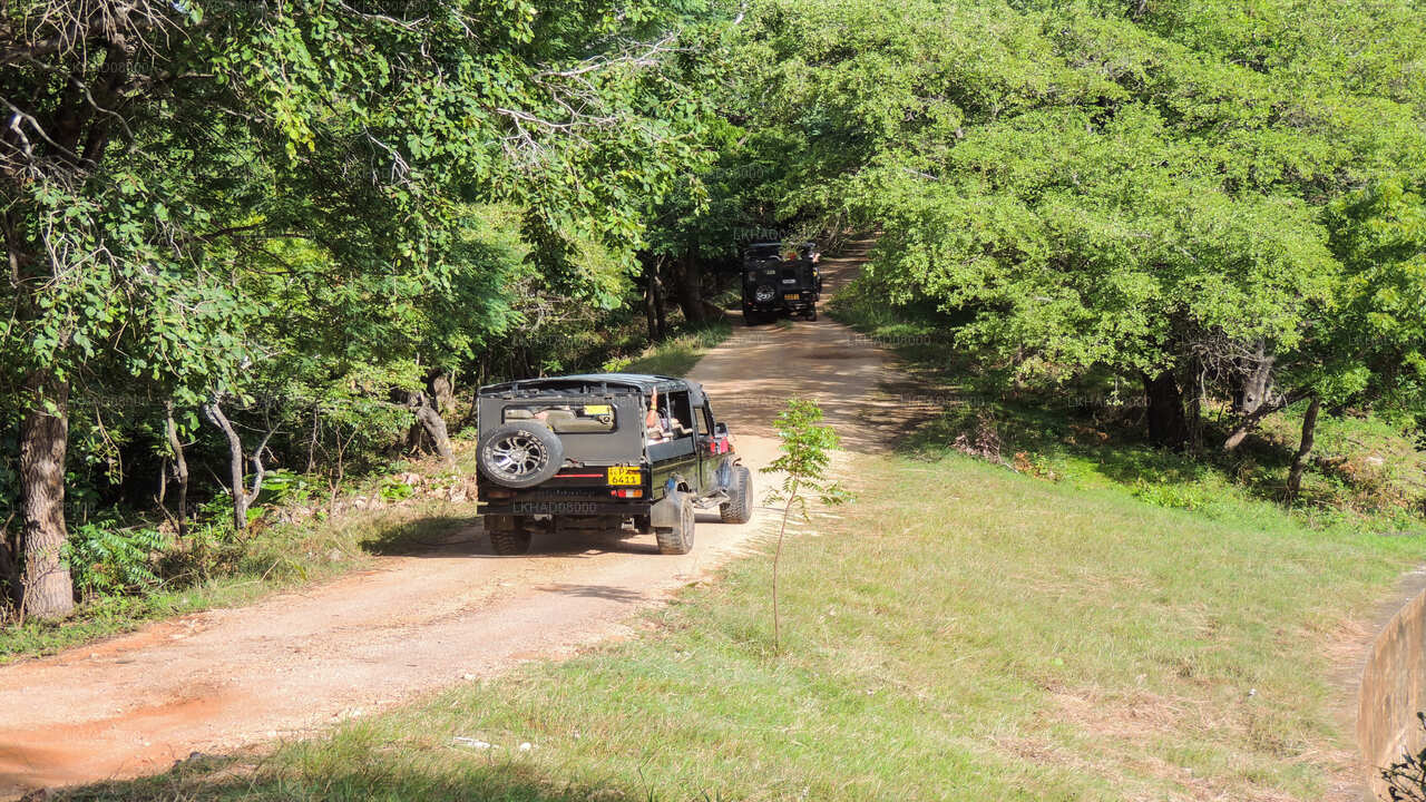 Kaudulla National Park Private Safari with Naturalist