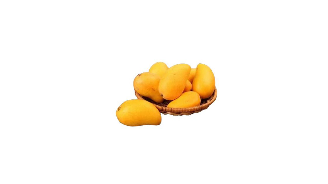 Thai Mango – Gira (තායි ගිරා අඹ) Fruit Plant