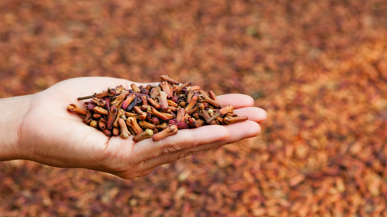 Lakpura Cloves Powder Pack